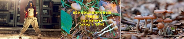 спиды Пестово