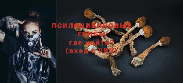 хмурый Балабаново