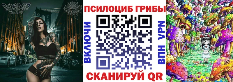 где купить наркоту  Луховицы  Псилоцибиновые грибы прущие грибы 